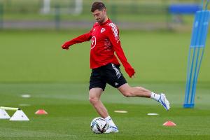 独立报：威尔士队长本-戴维斯腿筋受伤，无缘世预赛最后两场比赛