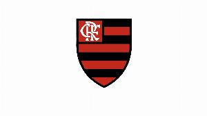 巴媒：弗拉门戈将包下5架飞机，赶赴秘鲁参加解放者杯决赛